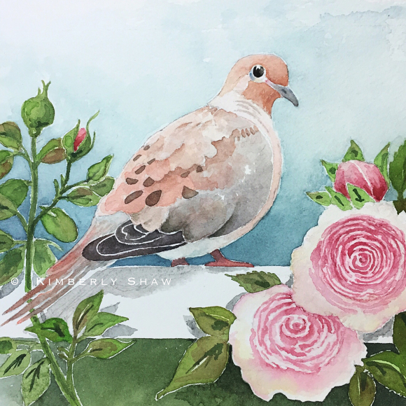 The Love of a Dove…They Come Each Year